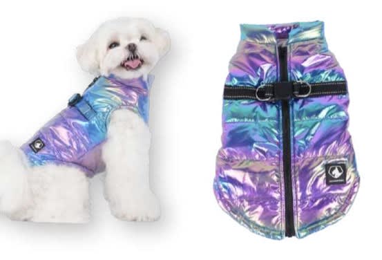 WONDER DOG PARKA GALAXY1