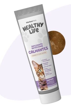 HEALTHY LIFE PASTA 110G4