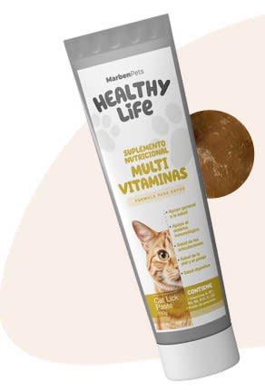 HEALTHY LIFE PASTA 110G2