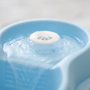 CATH2O FUENTE BEBEDERA CON CASCADA 2L + DENTAL CARE4