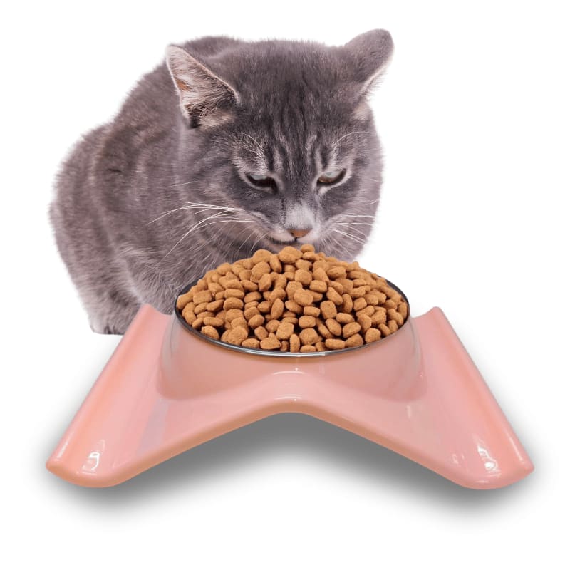 COMEDERO O BEBEDERO ANTIDERAME2