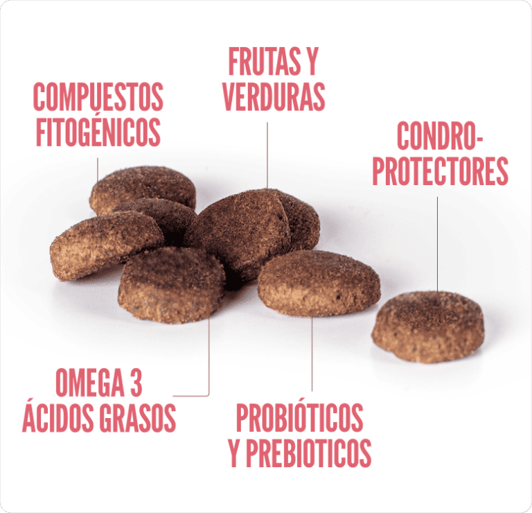 SUMMIT10 WHOLE CHOICE ADULTO ALL BREED SALMON1