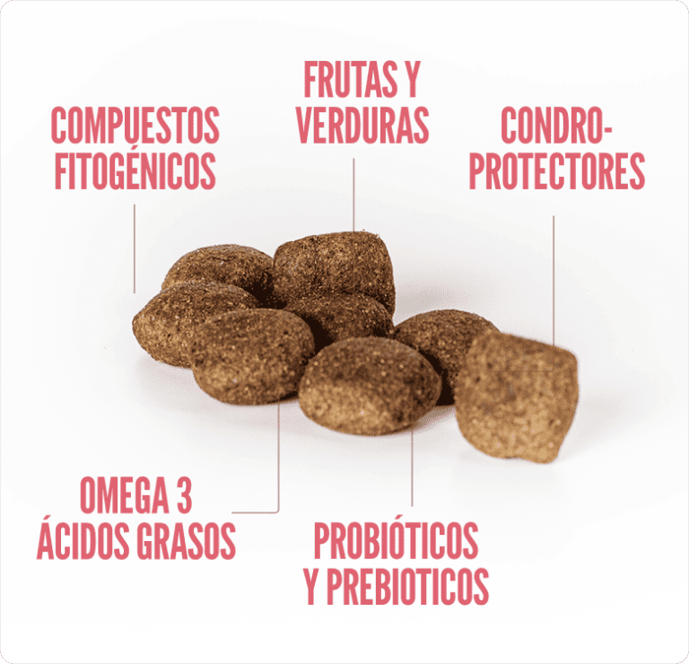 SUMMIT10 WHOLE CHOICE DOG SENIOR/LIGHT1