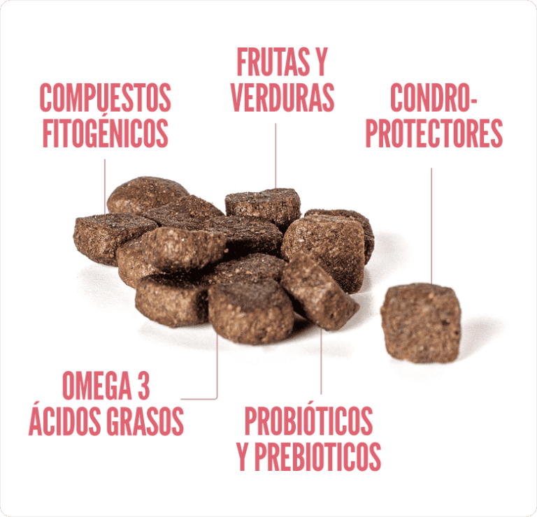 SUMMIT10 WHOLE CHOICE DOG PUPPY POLLO FRESCO1