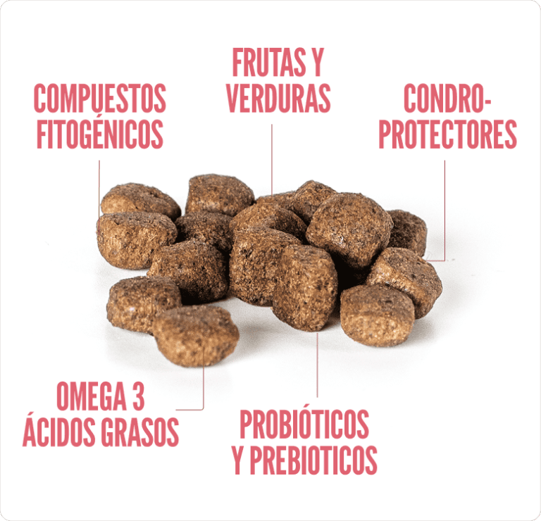 SUMMIT10 WHOLE CHOICE CAT CASTRADO POLLO FRESCO1