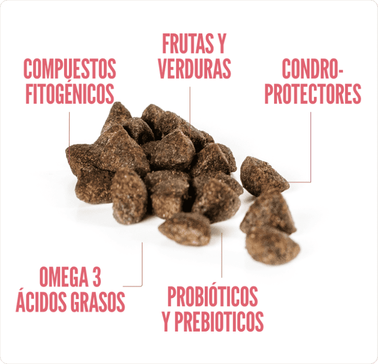 SUMMIT10 WHOLE CHOICE CAT ADULTO POLLO FRESCO1