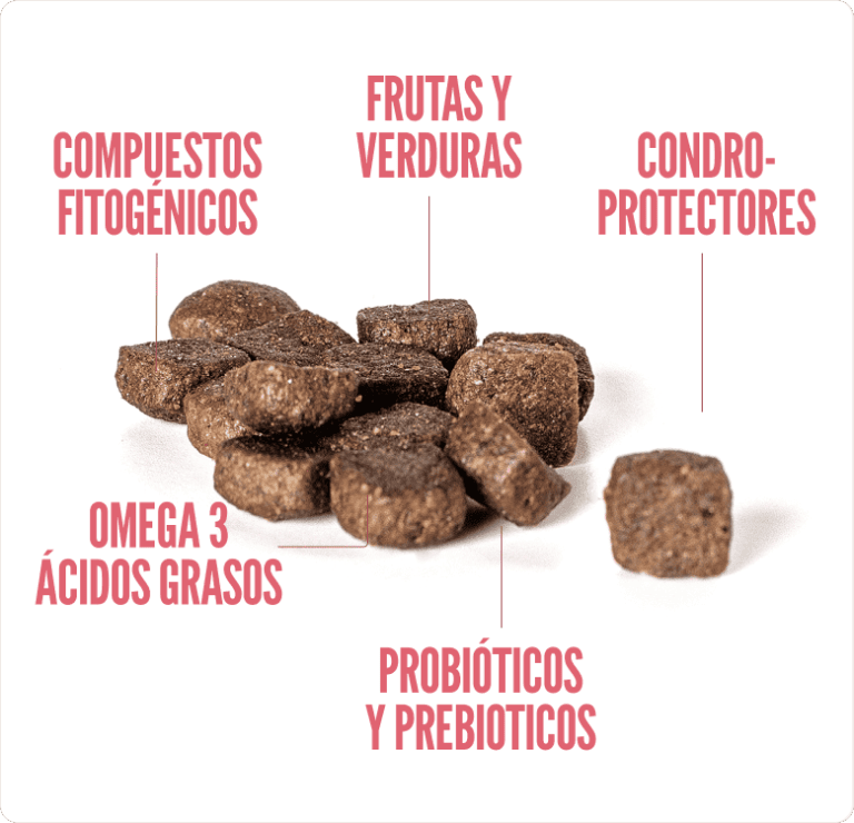 SUMMIT10 WHOLE CHOICE DOG MINI ADULTO POLLO FRESCO (3KG)1