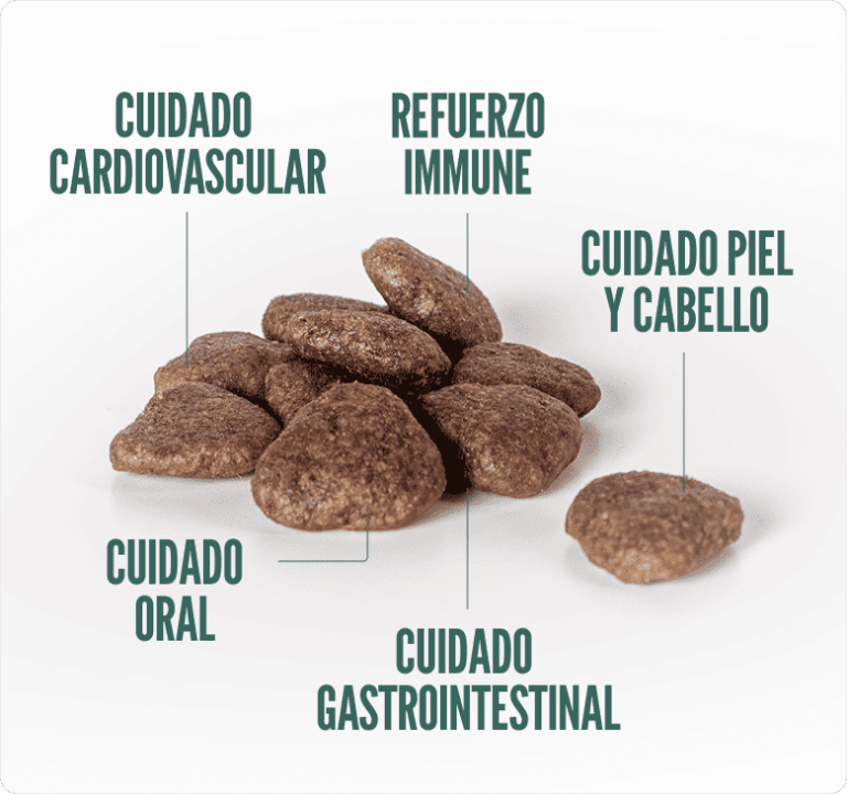 SUMMIT10 GRAIN FREE DOG POLLO & POTATO1