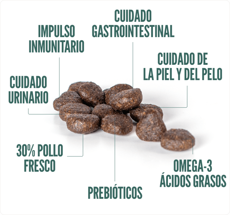 SUMMIT10 GRAIN FREE CAT SENSITIVE SALMON FRESCO (3KG)2