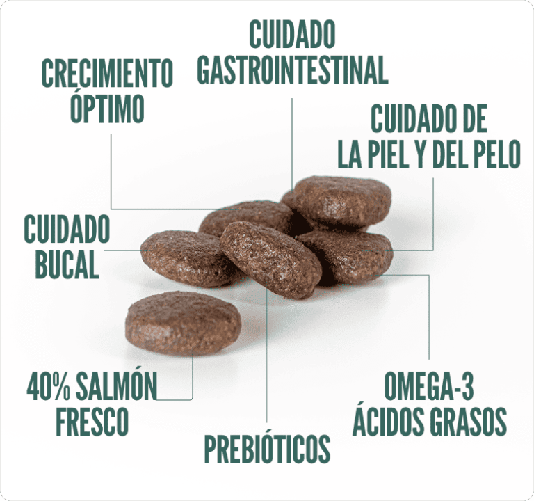 SUMMIT10 GRAIN FREE DOG ADULTO SENSITIVE SALMON & POTATO1