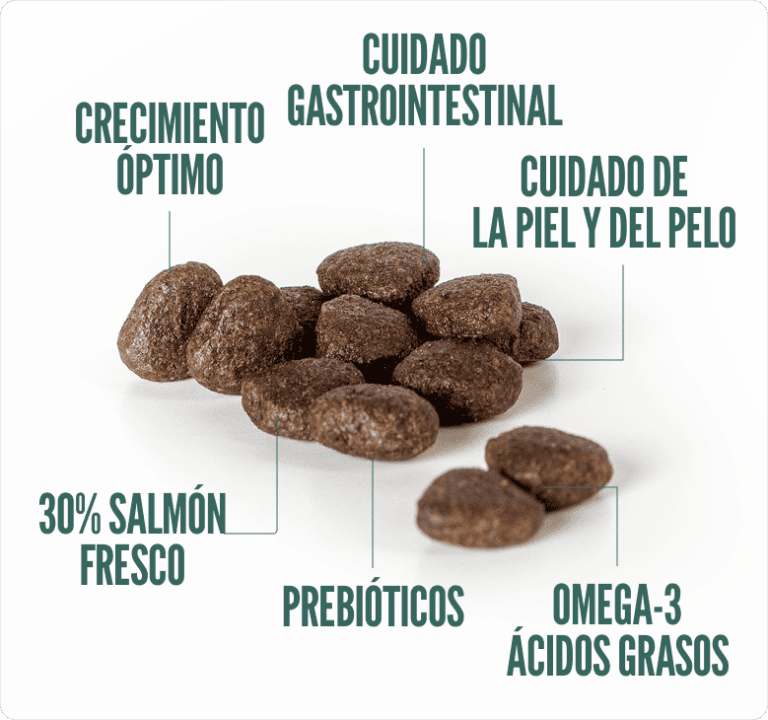 SUMMIT10 GRAIN FREE PUPPY SENSITIVE SALMON Y POTATO2