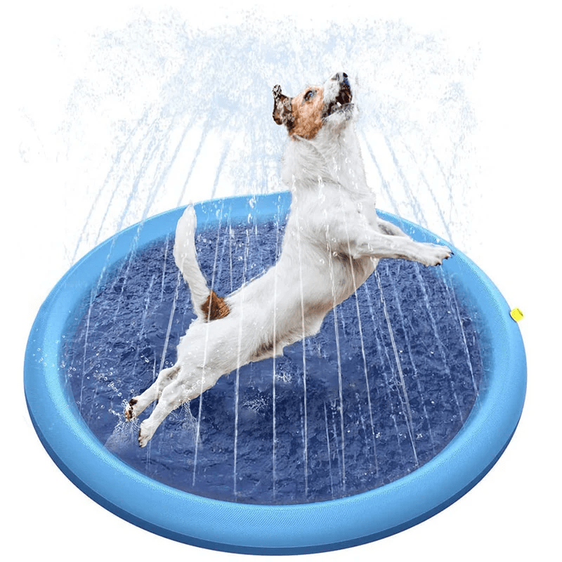 FUENTE/ASPERSOR DE AGUA PARA PERRO2
