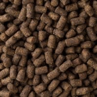 MAZURI FERRET/HURON2