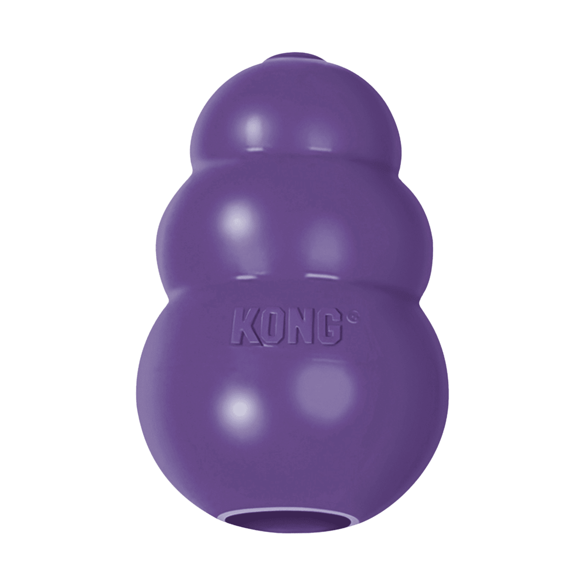 KONG SENIOR1