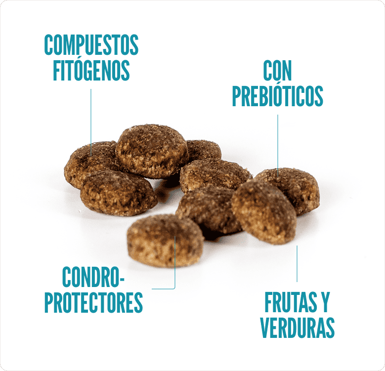 SUMMIT10 ADULTO ALL BREEDS POLLO Y ARROZ2