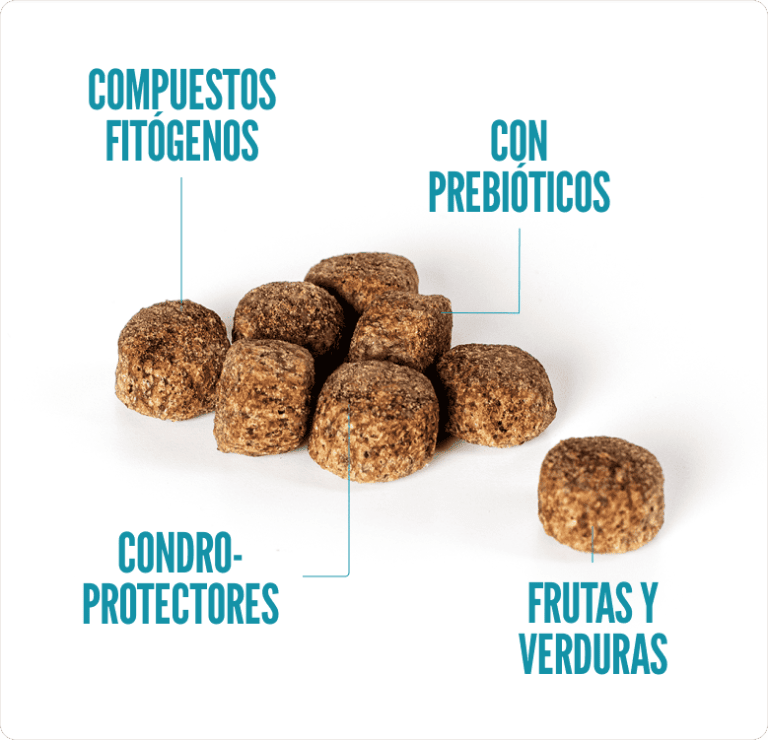 SUMMIT10 SENIOR/LIGTH ALL BREEDS POLLO Y ARROZ2