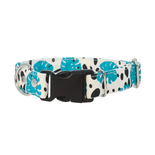 THE ROCKY DOG COLLAR4
