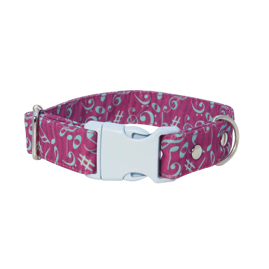 THE ROCKY DOG COLLAR3