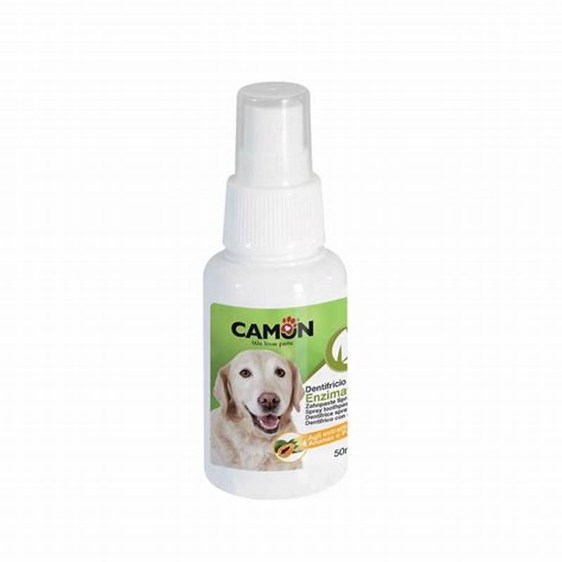 CAMON SPRAY DENTRIFICO ENZIMATICO1