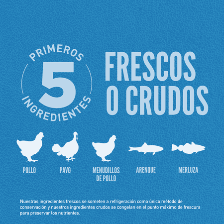 ORIJEN ORIGINAL DOG1