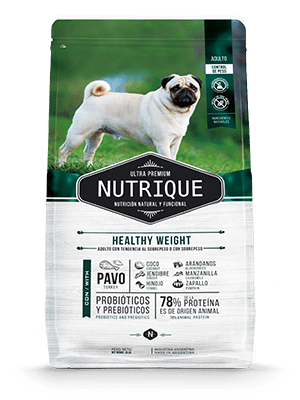 NUTRIQUE ADULTO  HEALTHY WEIGHT PAVO1