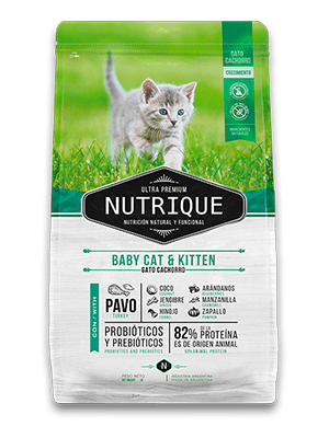 NUTRIQUE BABY CAT KITTEN1