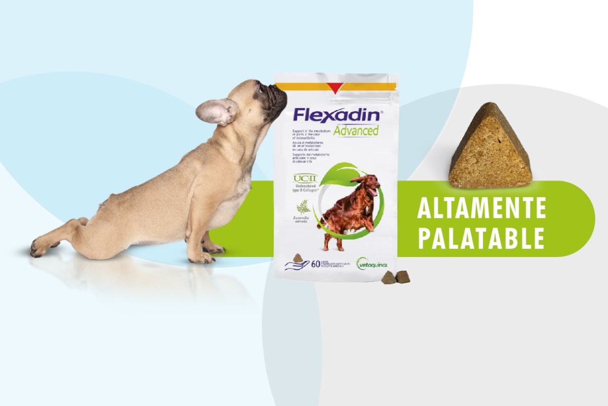 FLEXADIN ADVANCE3