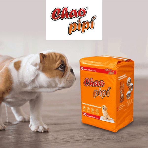 CHAO PIPI SABANILLAS (60X60CM)1