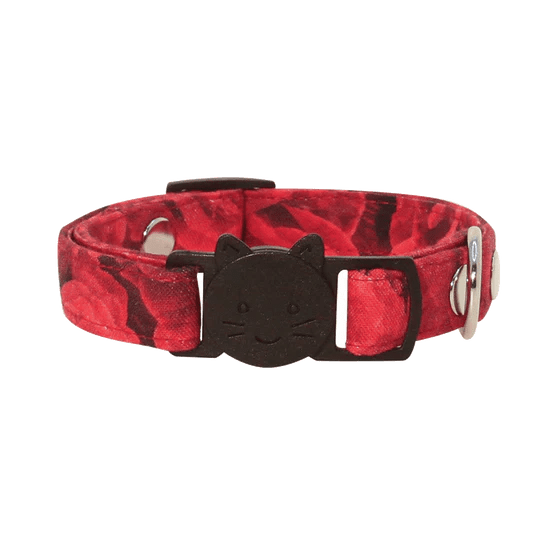 THE ROCKY COLLAR ANTI-AHORQUE GATO4