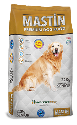 MASTIN ADULTO SENIOR1