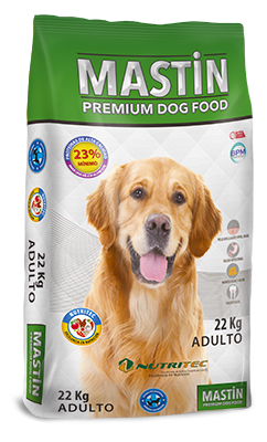 MASTIN ADULTO RAZA GRANDE1