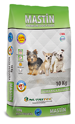 MASTIN ADULTO RAZA PEQUEÑA1