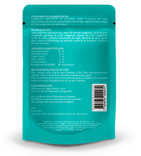 GEROLAMO SALVATORE SACHET GATO1