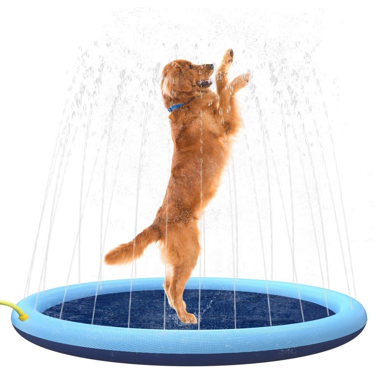 FUENTE/ASPERSOR DE AGUA PARA PERRO4