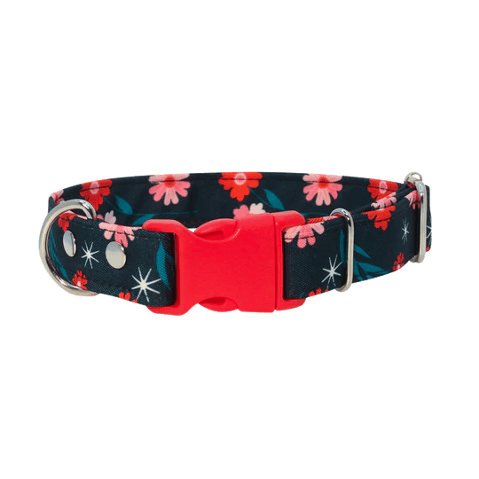THE ROCKY DOG COLLAR2