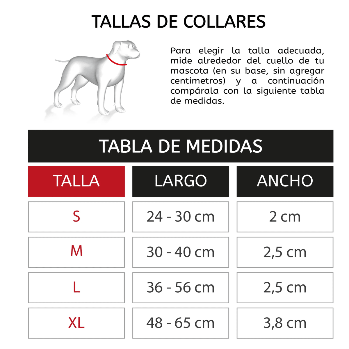 THE ROCKY DOG COLLAR9