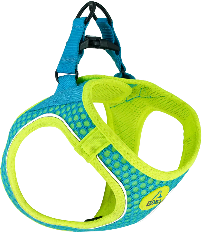 DOCO ARNES ATHLETICO TURQUESA/VERDE1