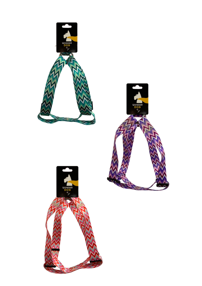 ARNES EN Y DISEÑO RAYAS1