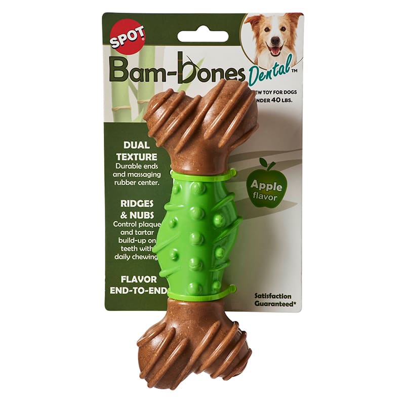 SPOT BAM-BONES DENTAL HUESO1