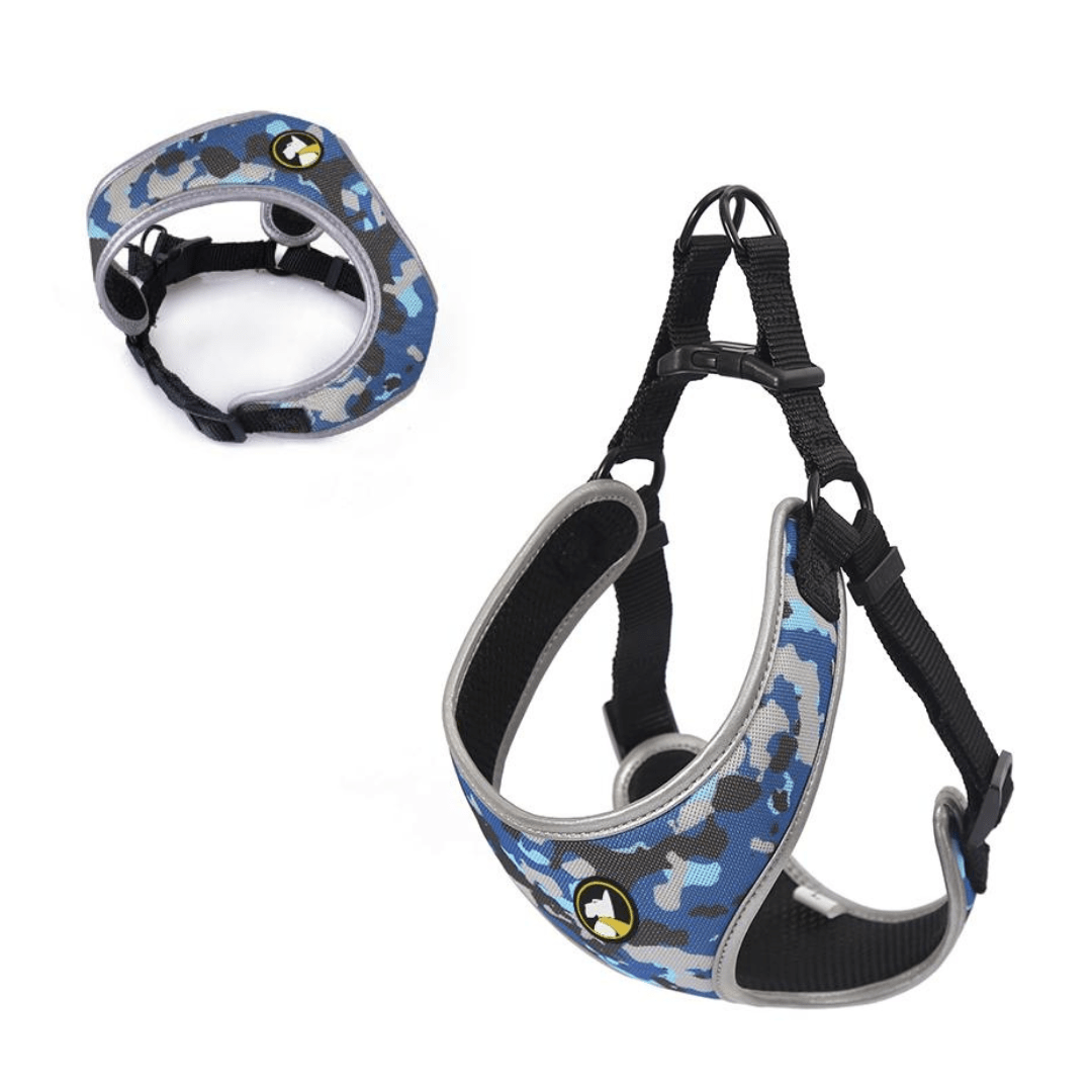 WONDER DOG ARNES  PECHERA4