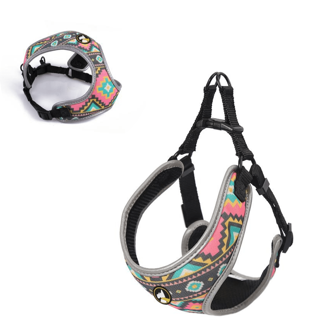 WONDER DOG ARNES  PECHERA2