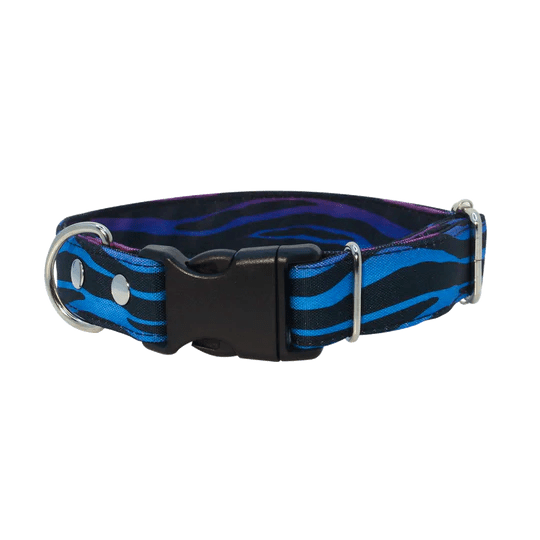 THE ROCKY DOG COLLAR1