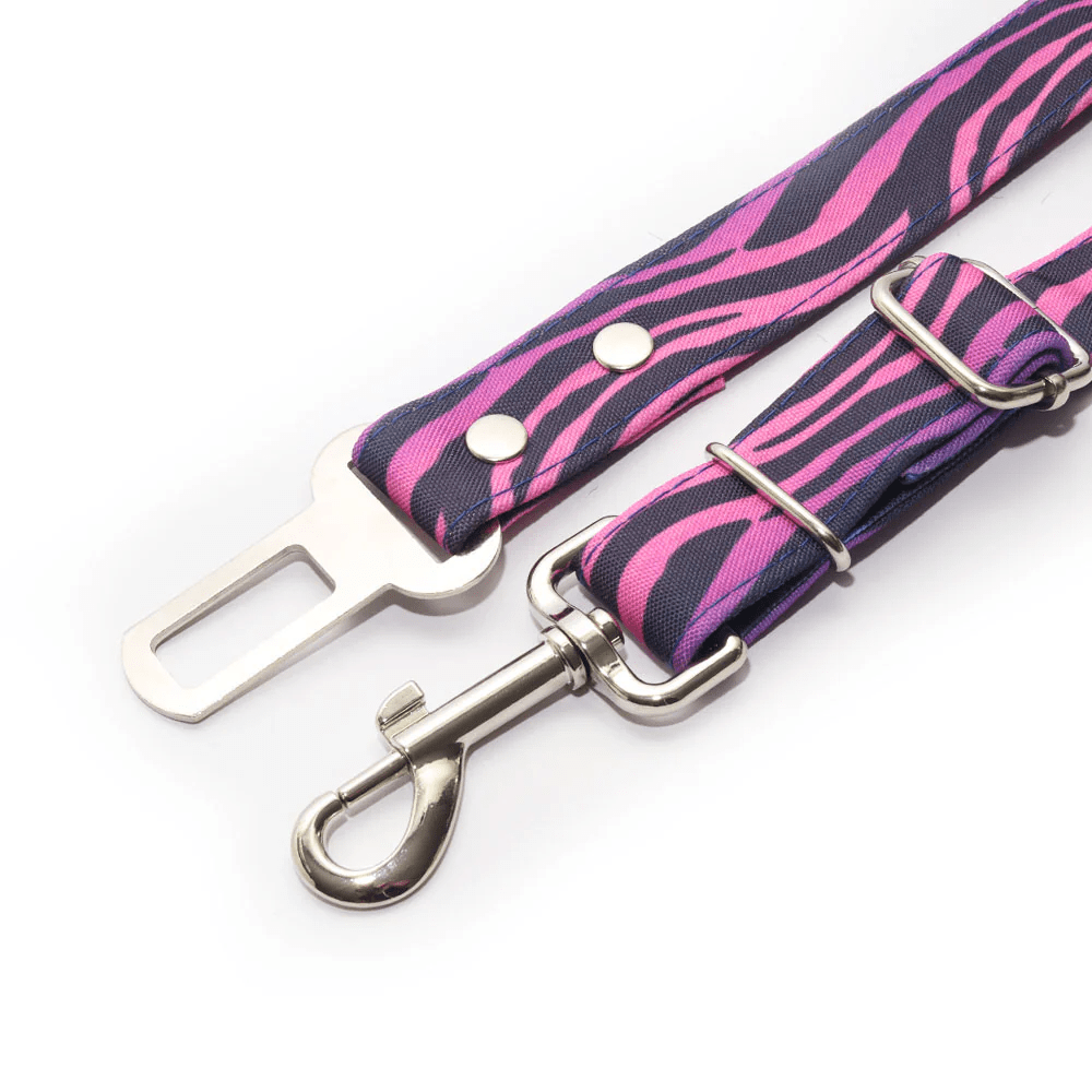 THE ROCKY CINTURON DE SEGURIDAD2