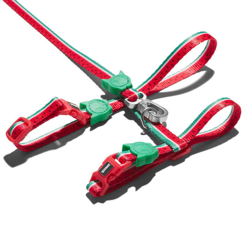 ZEECAT HARNESS + LEASH SET1