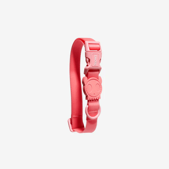 ZEEDOG COLLAR NEOPRO BUBBLEGUM2