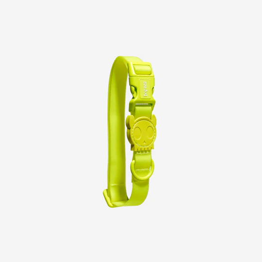 ZEEDOG COLLAR NEOPRO LIME1
