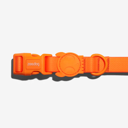 ZEEDOG COLLAR NEOPRO TANGERINE2