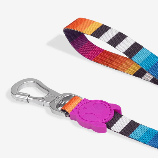 ZEEDOG LEASH PRISMA1