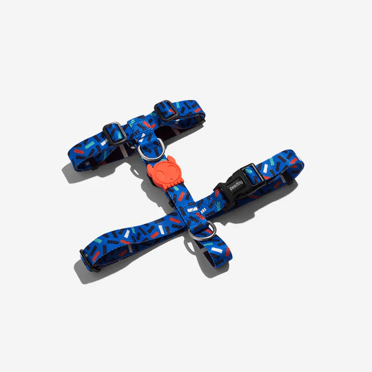 ZEEDOG H-HARNESS ATLANTA1