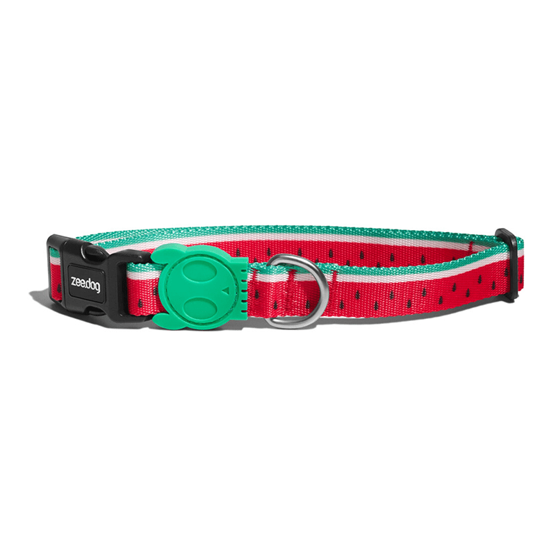 ZEEDOG COLLAR LOLA2